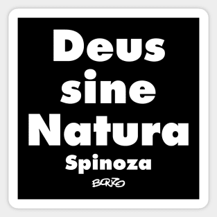 Spinoza 1 Sticker